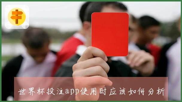 世界杯投注app使用时应该如何分析比分数据以降低风险