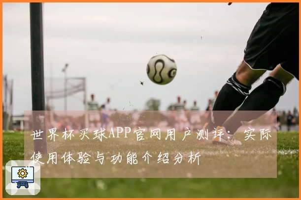 世界杯买球APP官网用户测评：实际使用体验与功能介绍分析