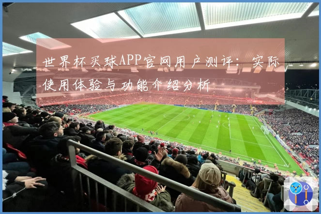 世界杯买球APP官网用户测评：实际使用体验与功能介绍分析