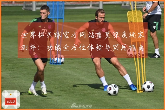 世界杯买球官方网站首页深度玩家测评：功能全方位体验与实用指南