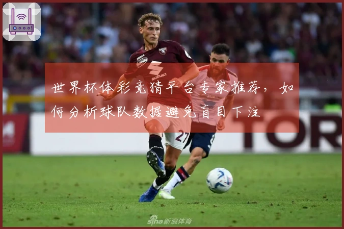 世界杯体彩竞猜平台专家推荐，如何分析球队数据避免盲目下注
