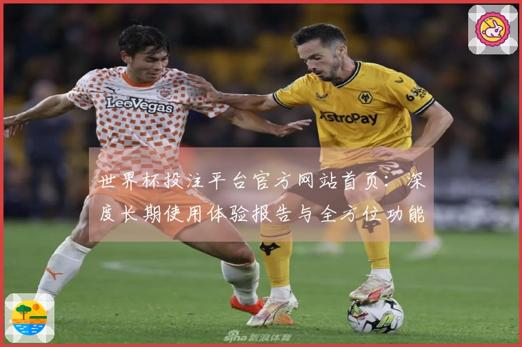 世界杯投注平台官方网站首页：深度长期使用体验报告与全方位功能评测