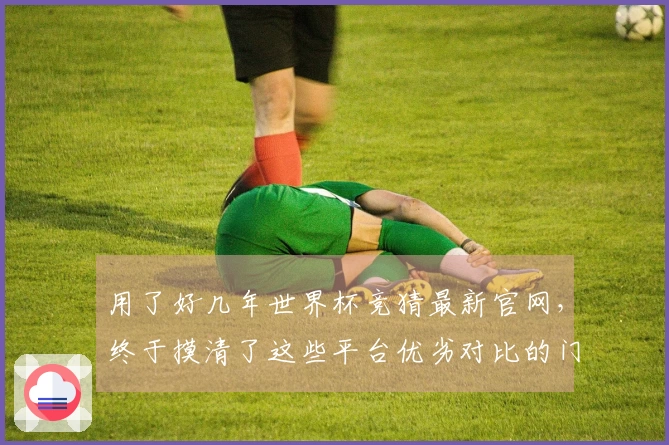 用了好几年世界杯竞猜最新官网，终于摸清了这些平台优劣对比的门道