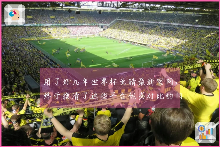 用了好几年世界杯竞猜最新官网,终于摸清了这些平台优劣对比的门道