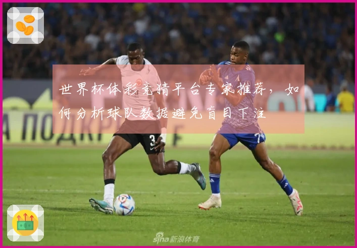 世界杯体彩竞猜平台专家推荐，如何分析球队数据避免盲目下注